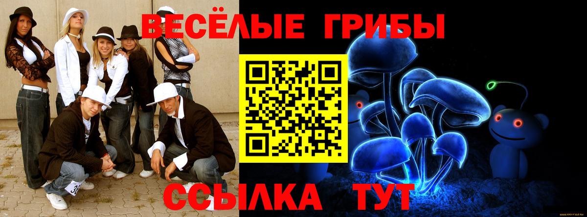 Чусовой  Псилоцибиновые грибы GOLDEN TEACHER  Галлюциногенные грибы MAGIC MUSHROOMS  Вход с VPN 